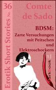 Cover von BDSM: Zarte Versuchungen mit Peitschen und Elektroschockern