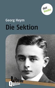 Cover von Die Sektion - Literatur-Quickie