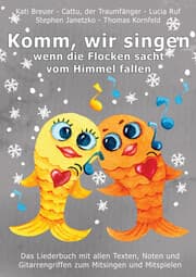 Cover von Komm, wir singen, wenn die Flocken sacht vom Himmel fallen