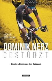 Cover von Dominik Nerz - Gestürzt