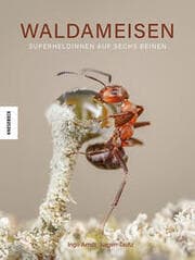 Cover von Waldameisen