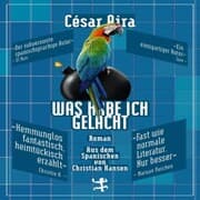 Cover von Was habe ich gelacht