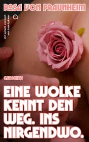 Cover von Eine Wolke kennt den Weg. Ins Nirgendwo