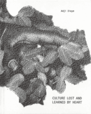 Cover von Adji Dieye. Culture Lost and Learned by Heart