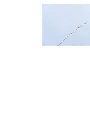 Cover von Ernte