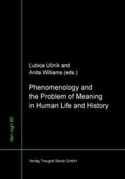 Cover von Phenomenology and the Problem of Meaning in Human Life and History