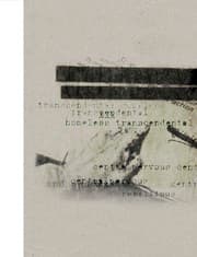 Cover von Astrid Klein. transcendental homeless centralnervous