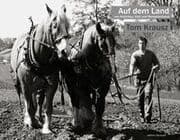 Cover von Auf dem Land
