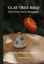 Cover von CLAY TREE BIRD