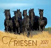 Cover von Friesen 2027
