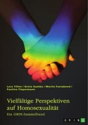 Cover von Vielfältige Perspektiven auf Homosexualität. Eine historische Analyse von LGBT-Themen in der Kirche, im Mittelalter, in der Weimarer Republik und im Nationalsozialismus