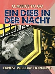 Cover von Ein Dieb in der Nacht