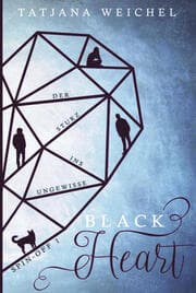 Cover von Sturz ins Ungewisse