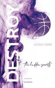 Cover von DESTROY the hidden secrets