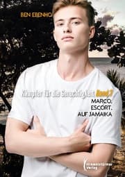 Cover von Kämpfer für die Gerechtigkeit 3