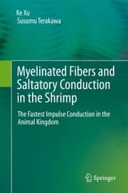 Cover von Myelinated Fibers and Saltatory Conduction in the Shrimp