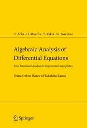 Cover von Algebraic Analysis of Differential Equations