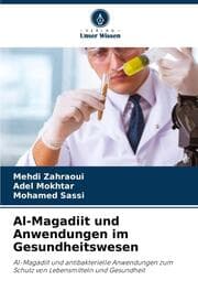 Cover von Al-Magadiit und Anwendungen im Gesundheitswesen