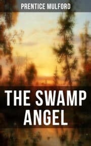 Cover von THE SWAMP ANGEL