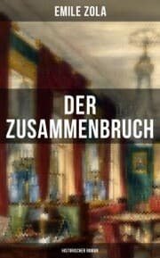 Cover von Der Zusammenbruch: Historischer Roman