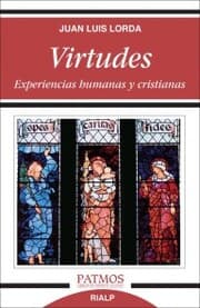 Cover von Virtudes. Experiencias humanas y cristianas.