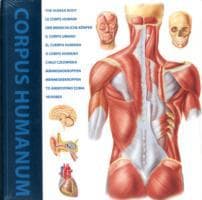 Cover von The Human Body