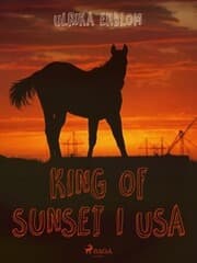 Cover von King of Sunset i USA