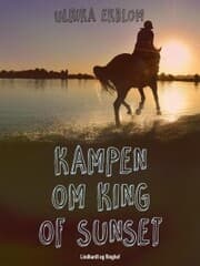 Cover von Kampen om King of Sunset