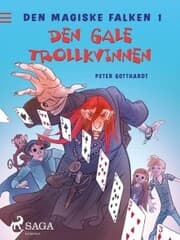 Cover von Den magiske falken 1 - Den gale trollkvinnen