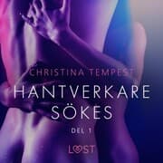 Cover von Hantverkare sökes Del 1 - erotisk novell