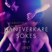 Cover von Hantverkare sökes Del 2 - erotisk novell