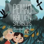 Cover von Peikkokallion salaisuus