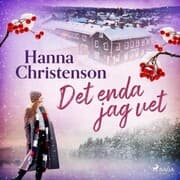 Cover von Det enda jag vet