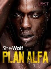 Cover von Plan Alfa - opowiadanie erotyczne