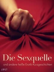 Cover von Die Sexquelle und andere heiße Erotik-Kurzgeschichten