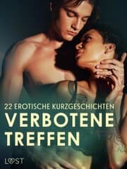Cover von Verbotene Treffen: 22 erotische Kurzgeschichten