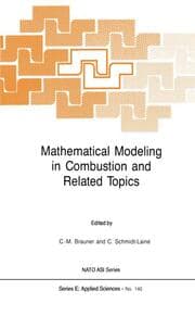 Cover von Mathematical Modeling in Combustion and Related Topics