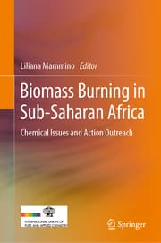 Cover von Biomass Burning in Sub-Saharan Africa