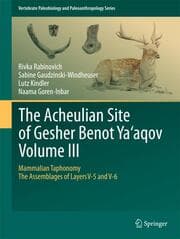Cover von The Acheulian Site of Gesher Benot Yaaqov Volume III