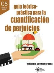 Cover von Guía teórico-práctica para la cuantificación de perjuicios