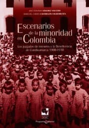 Cover von Escenarios de la minoridad en Colombia