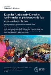 Cover von Estándar ambiental y derechos ambientales en posacuerdos de paz : algunos estudios de caso
