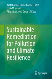 Cover von Sustainable Remediation for Pollution and Climate Resilience