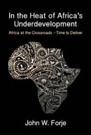 Cover von In the Heat of Africa's Underdevelopment