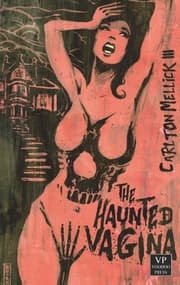 Cover von The Haunted Vagina/Ugly Heaven