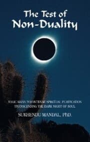 Cover von The Test of Non-Duality